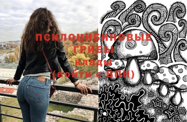 дживик Киреевск