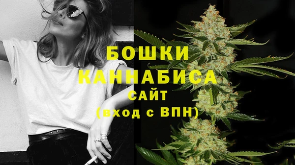 дживик Киреевск