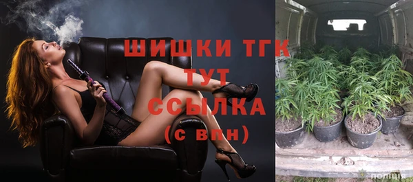 дживик Киреевск